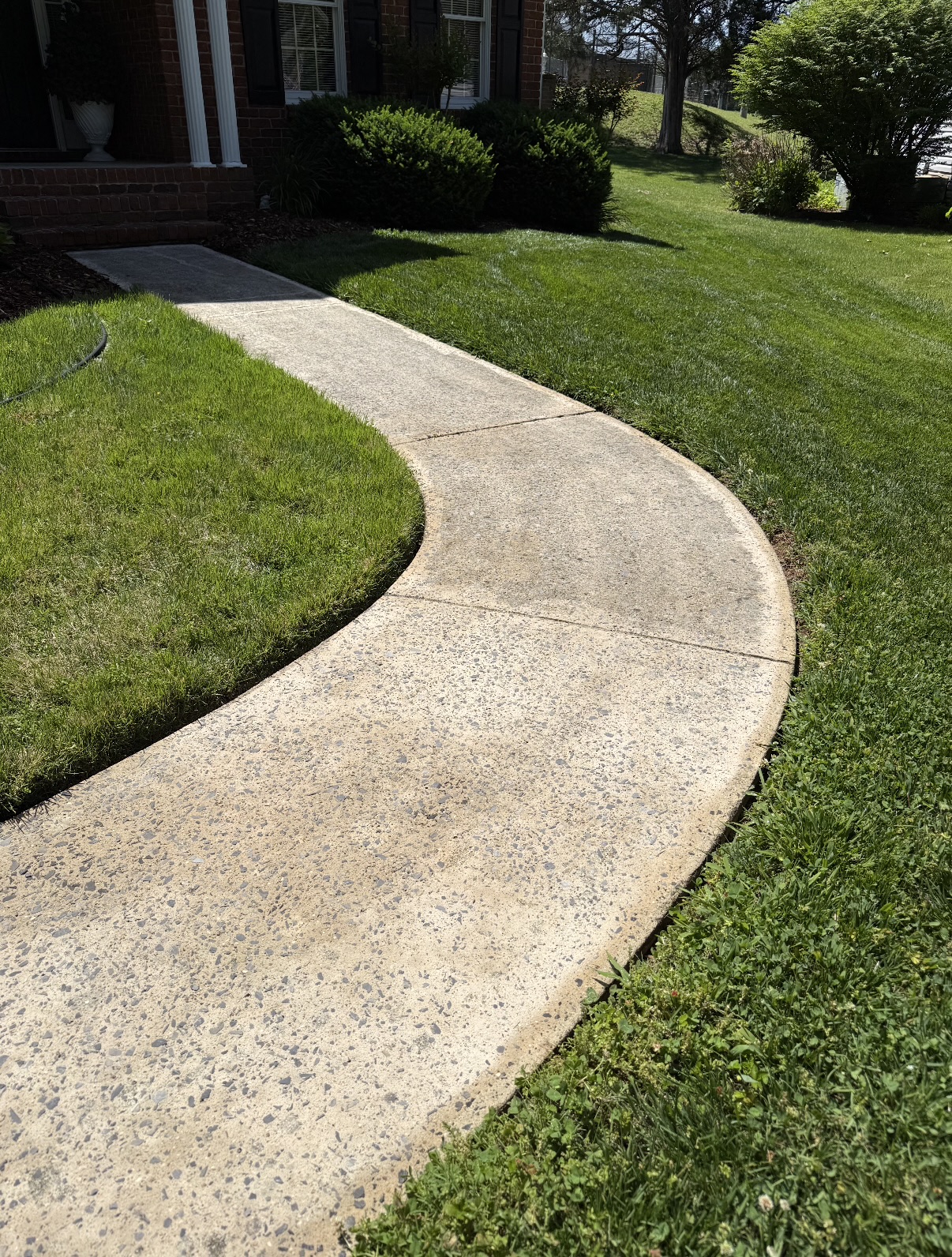 Before — Stained Driveway